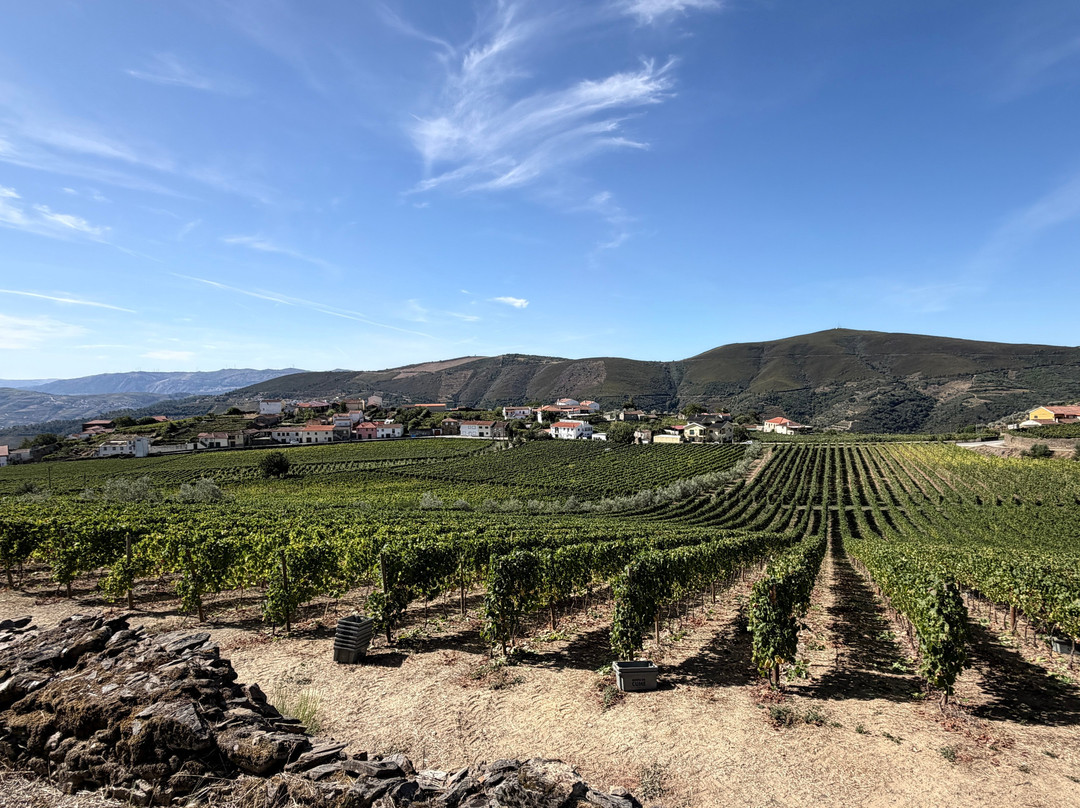 Quinta do Cume-Provesende必去景点
