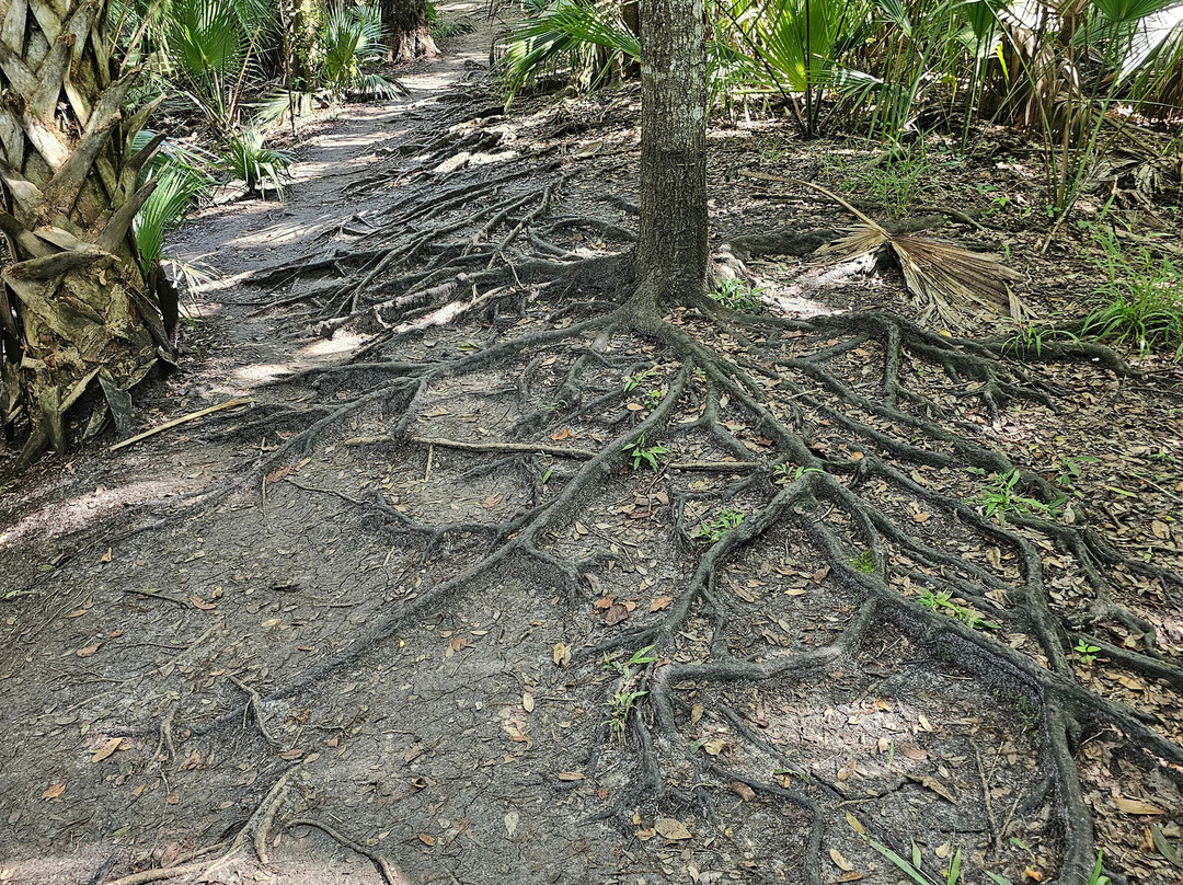 Black Bear Wilderness Area-桑福德必去景点