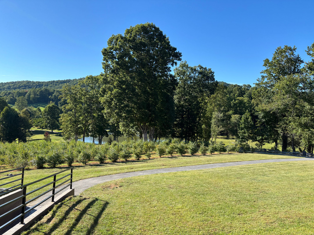 Jeter Mountain Farm