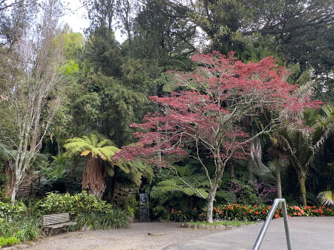 普克库拉公园-新普利默斯必去景点