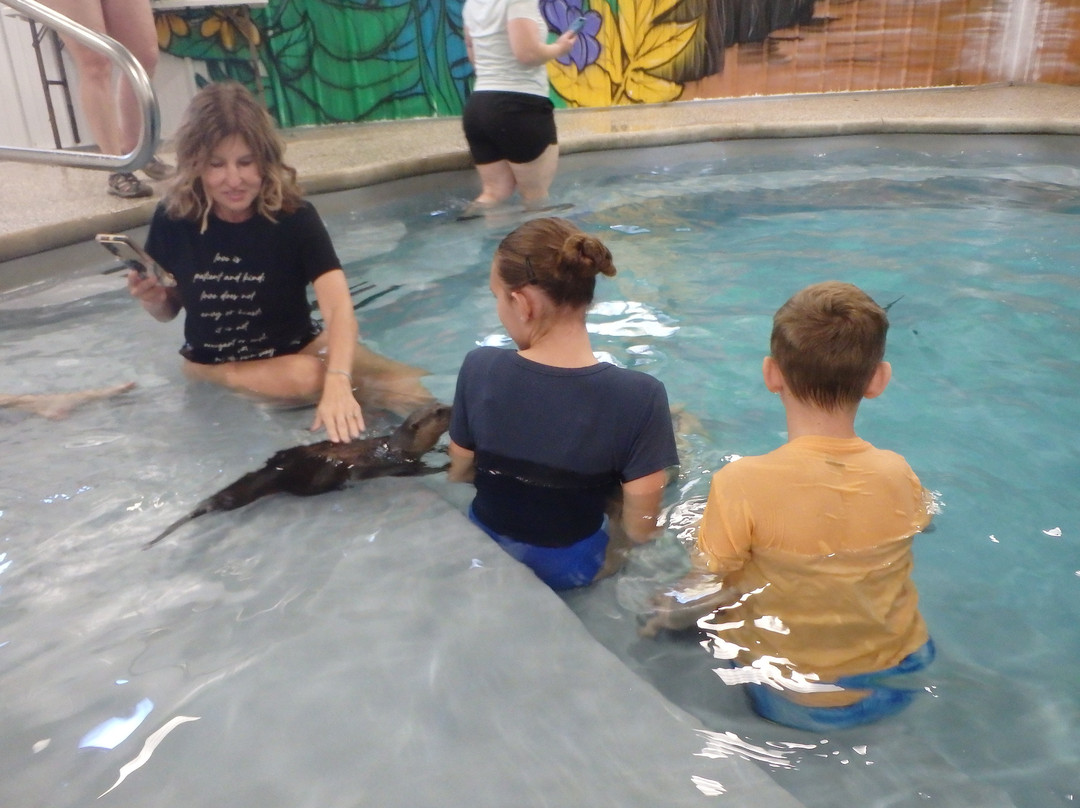 Paws And Claws Animal Encounters