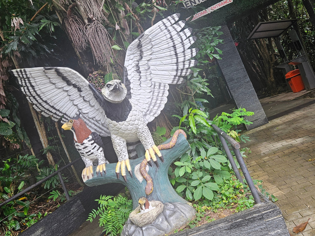 Rescate Wildlife Rescue Center-阿拉辉拉必去景点