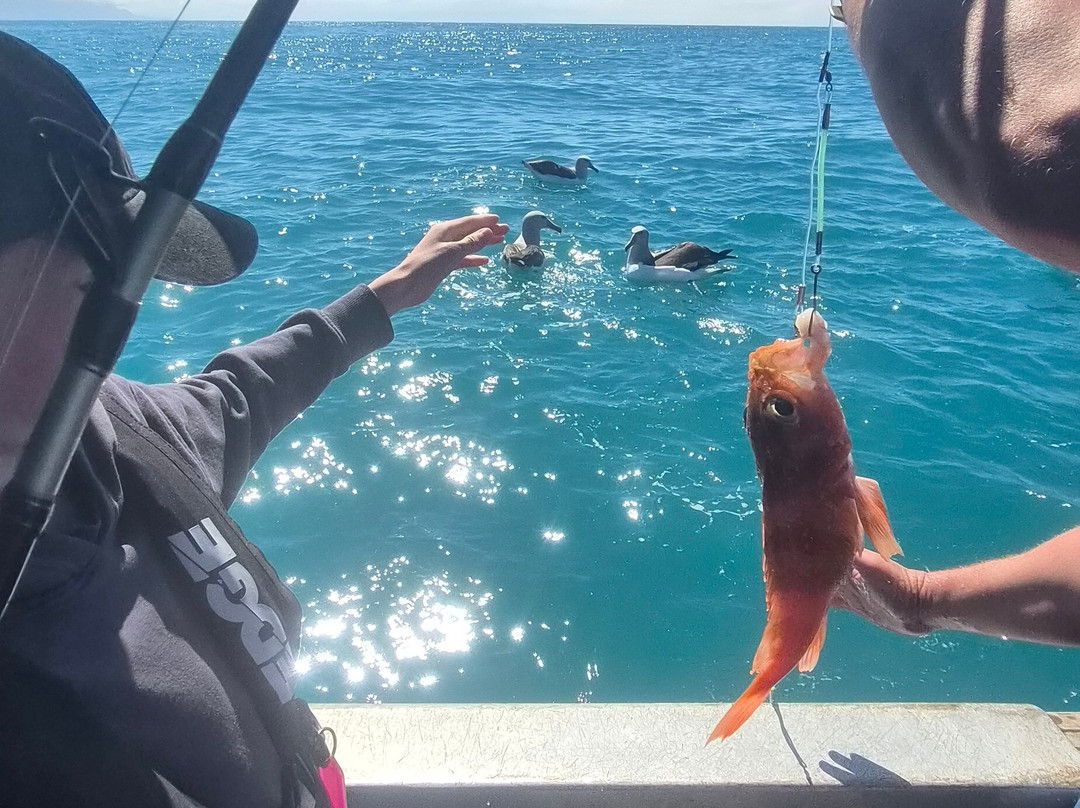 The Rodfather Fishing Charters-Kaikoura必去景点