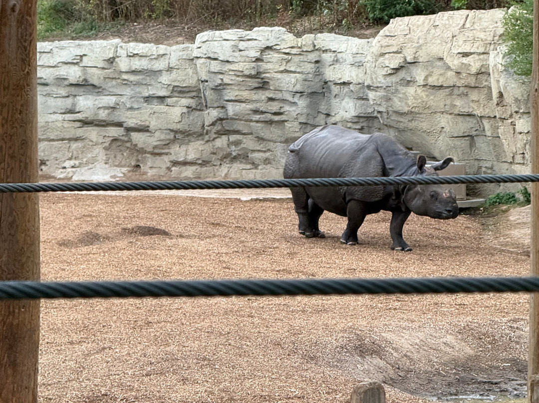 Denver Zoo-丹佛必去景点
