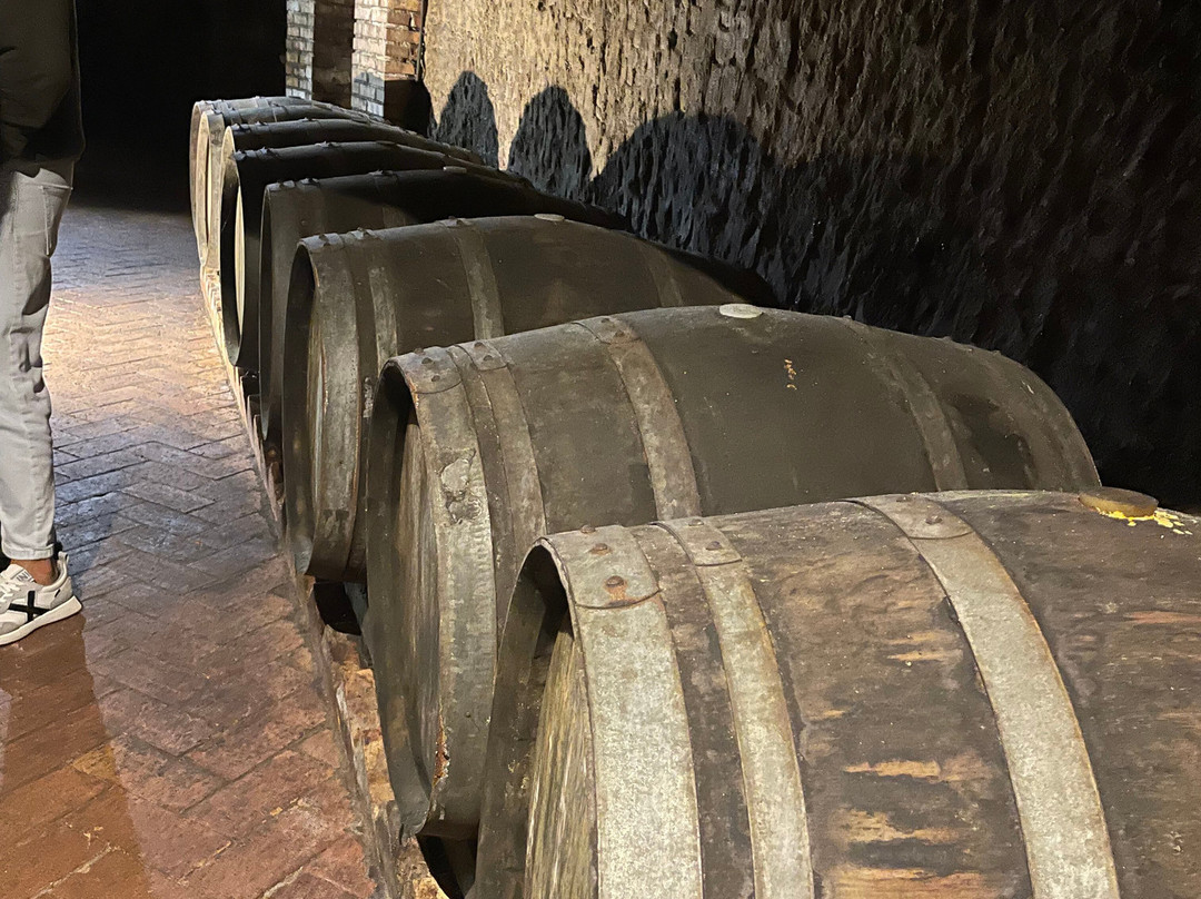 Cantine del Notaio-Rionero in Vulture必去景点