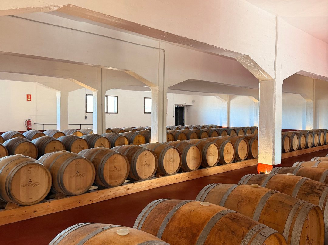 Bodegas Manzanos-哈罗必去景点