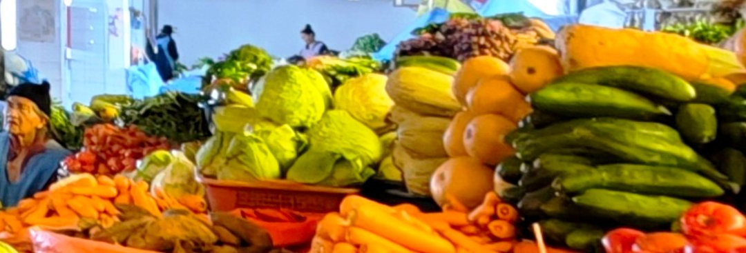 Mercado Central-苏克雷必去景点