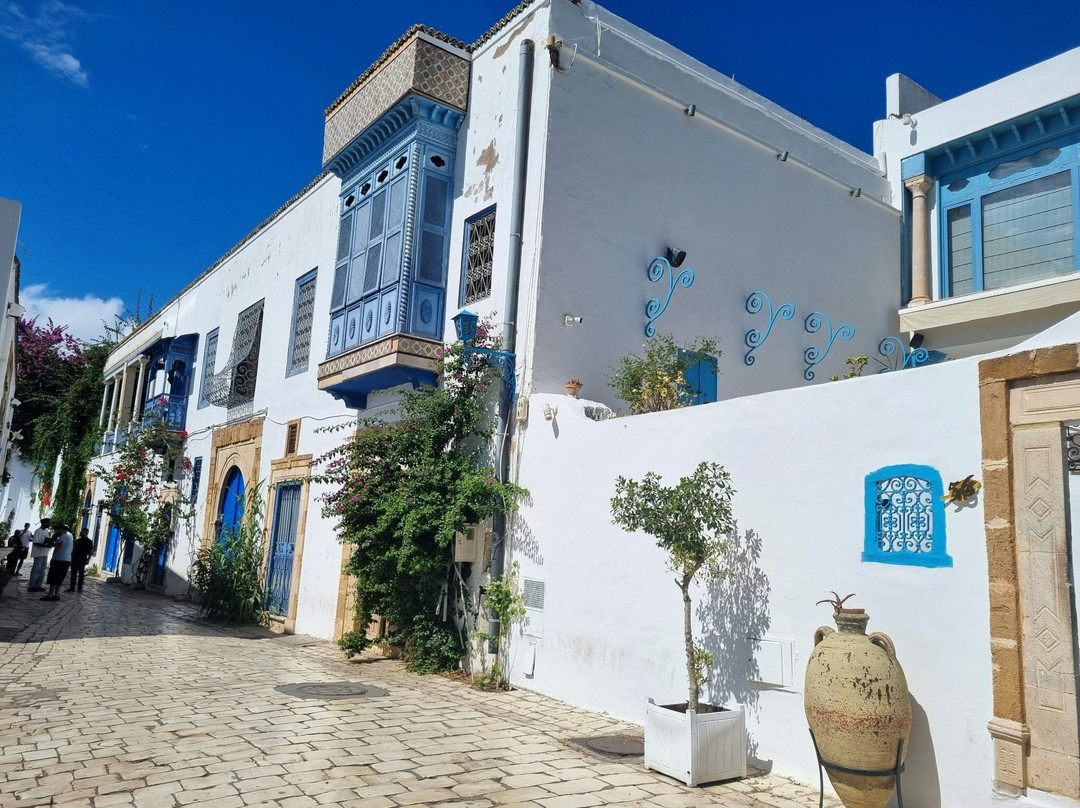 Sidi Bou Said-蓝白小镇必去景点