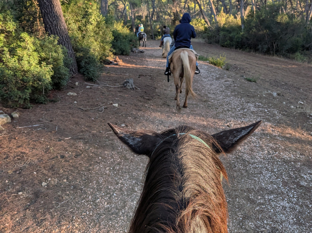 Family Horses 373-5361953-Marina di Ginosa必去景点