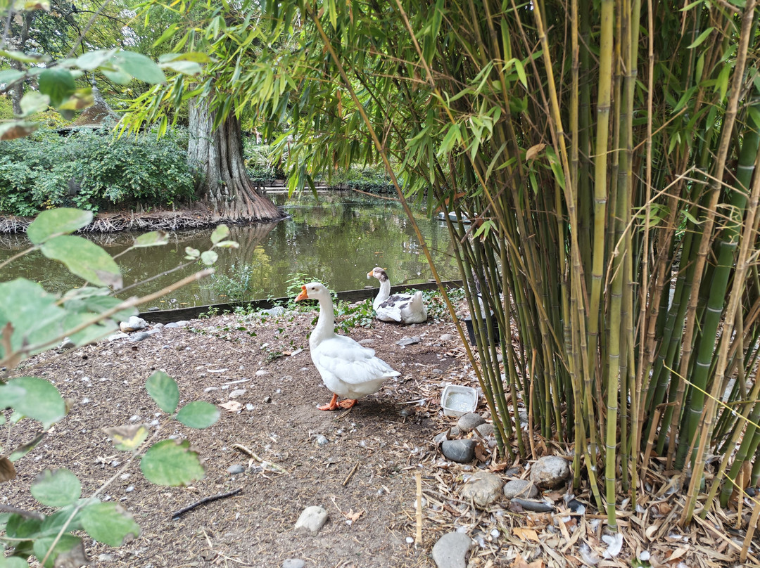 Jardin Des Plantes Toulouse-图卢兹必去景点