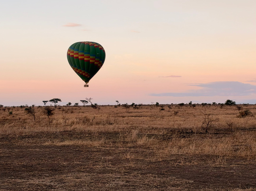Nyssa Balloon Safaris-Seronera必去景点