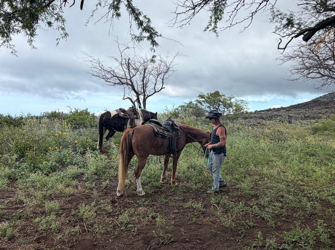 Triple L Ranch Horseback Tours-库拉必去景点