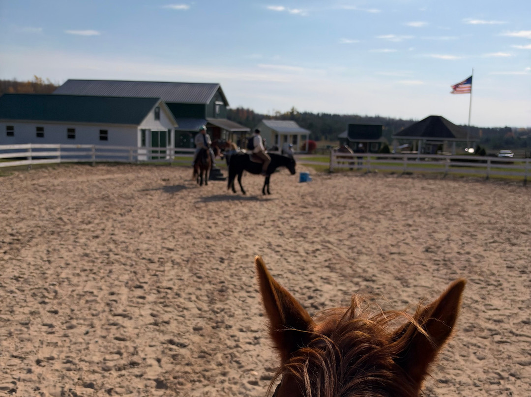 Maple Ridge Stables, LLC-Vanderbilt必去景点
