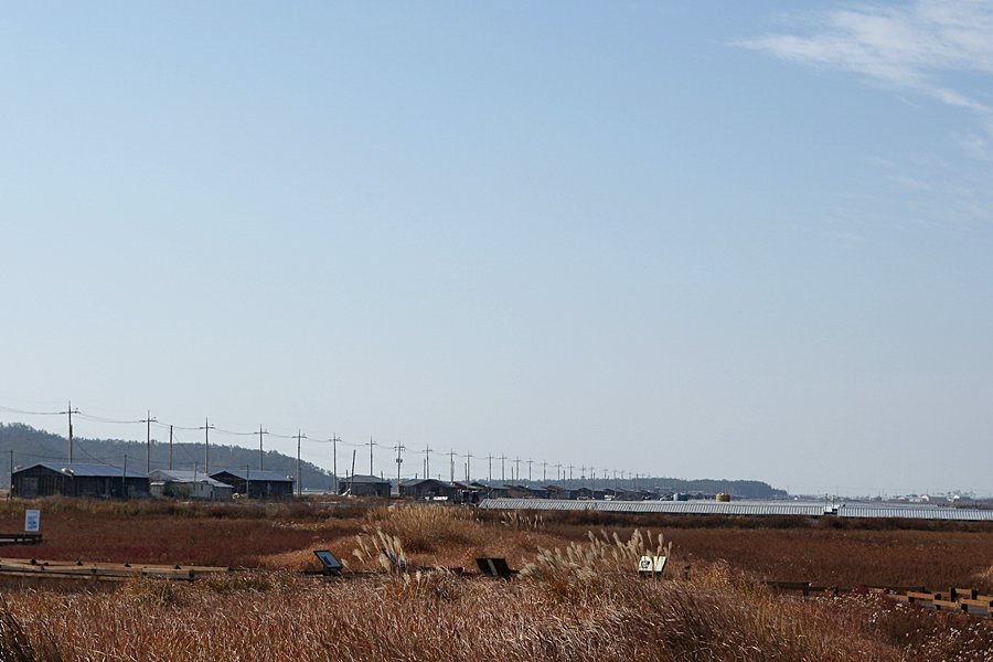 Taepyeong Yeomsaeng Botanical Garden-新安郡必去景点