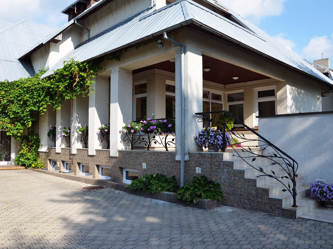 帕兰加酒店住宿-Villa Zveju 29