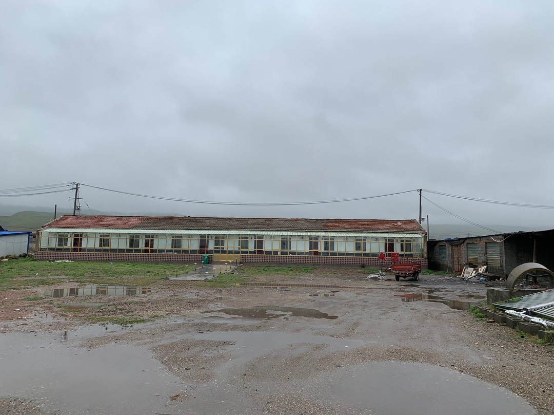 青海湖黑马河云海宾馆