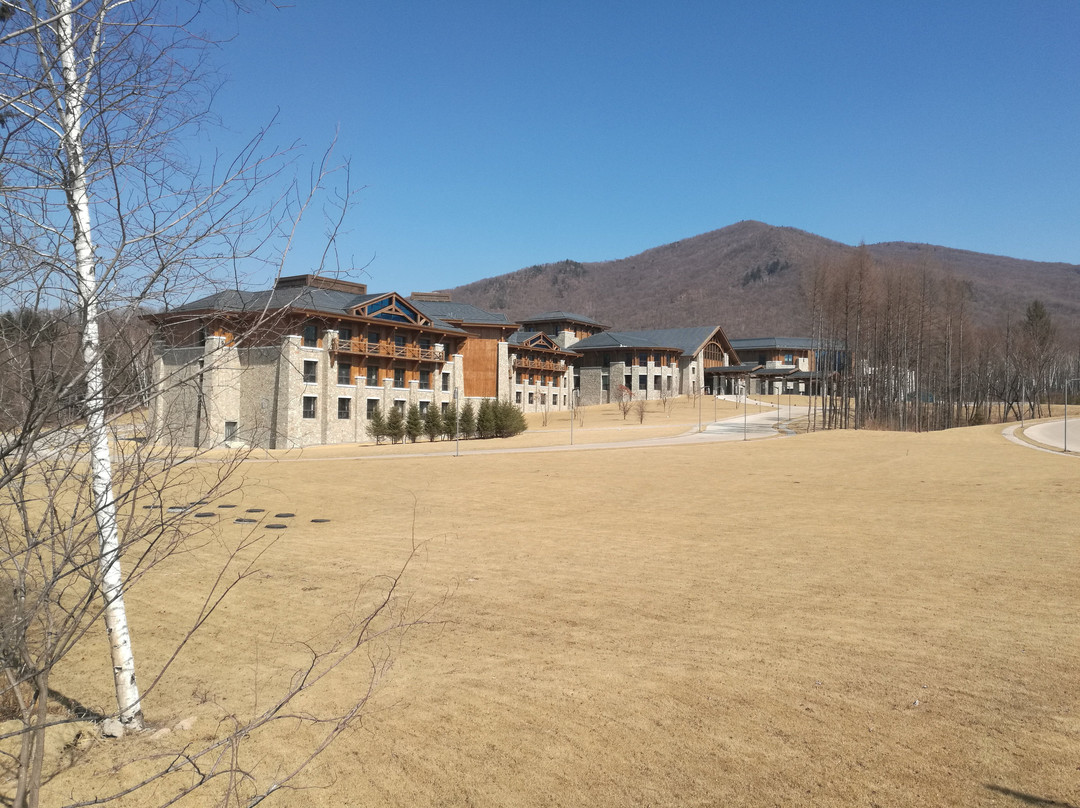 美溪回龙湾度假村