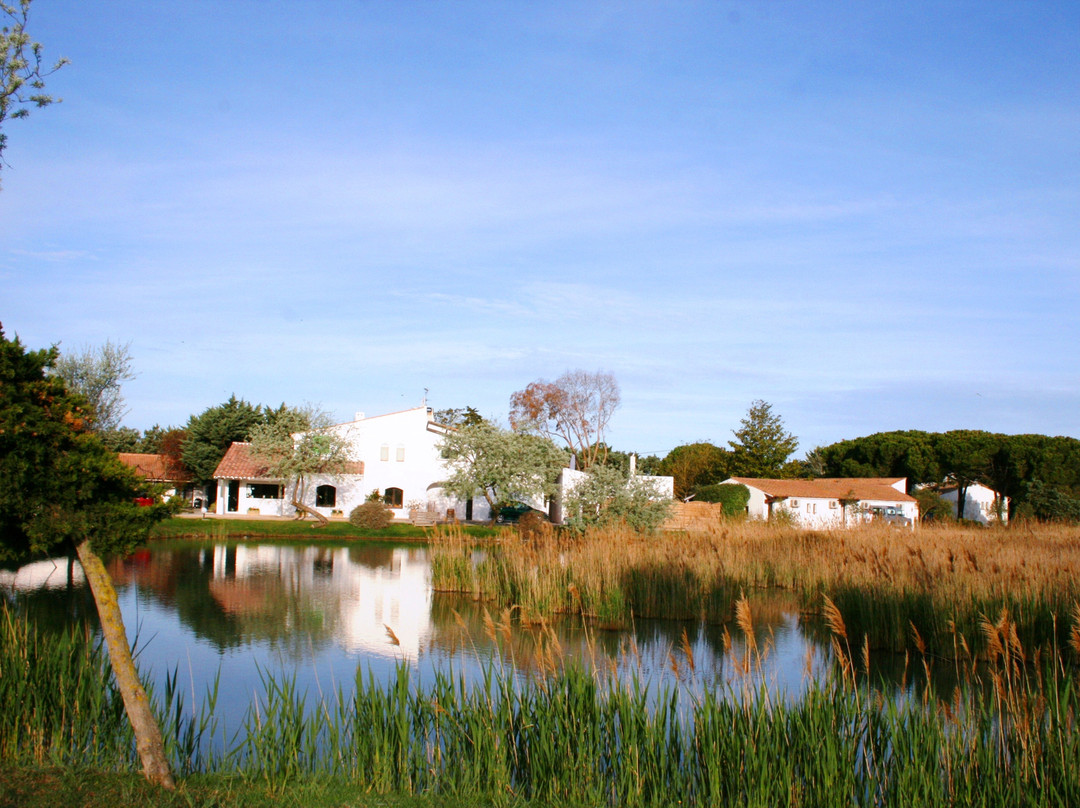 Les Rizieres