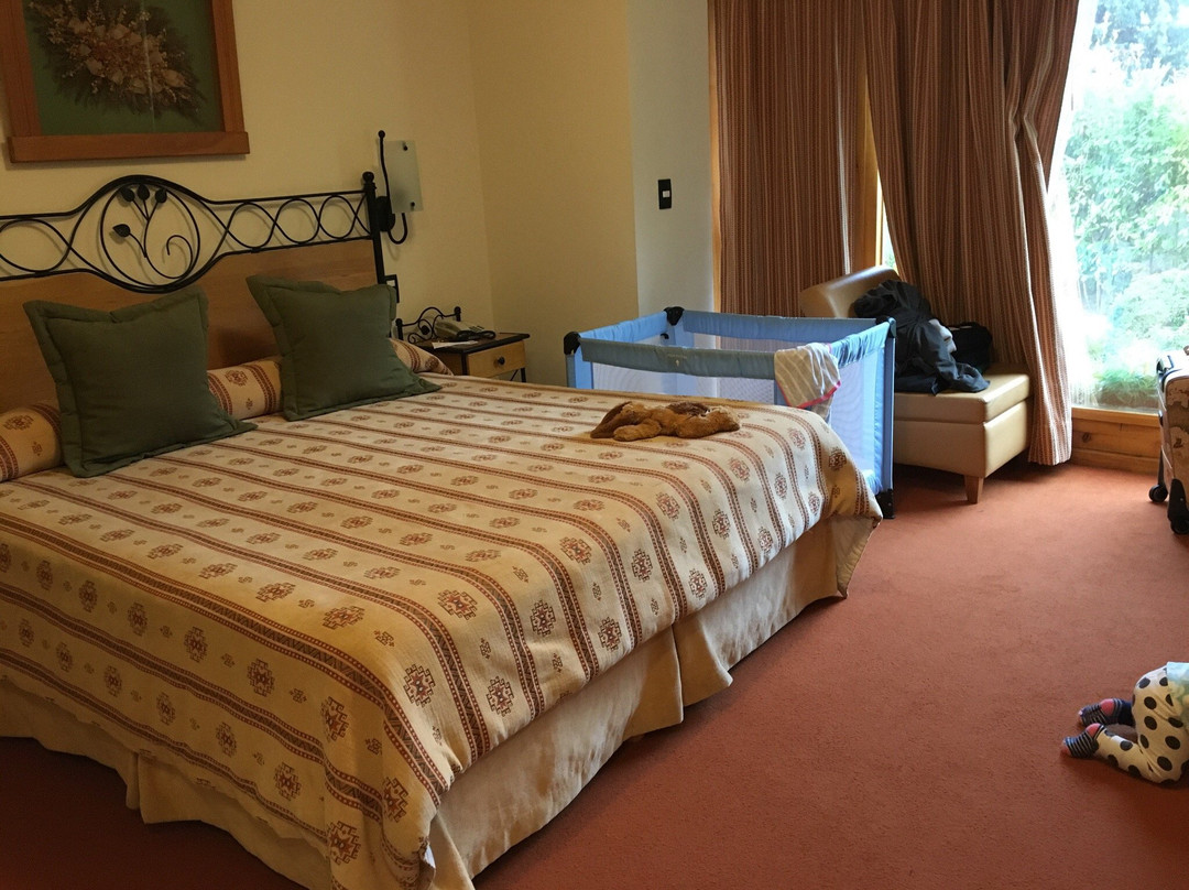 安哥斯度拉村酒店住宿-Antuquelen Hosteria Patagonica