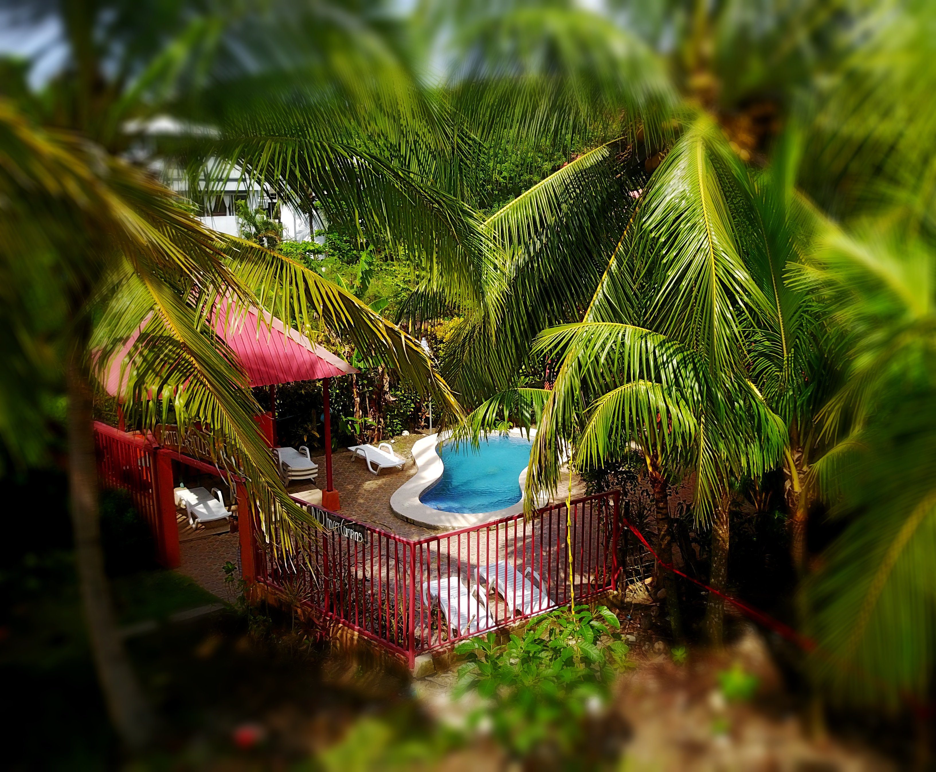 Hotel La Dolce Vita-官方