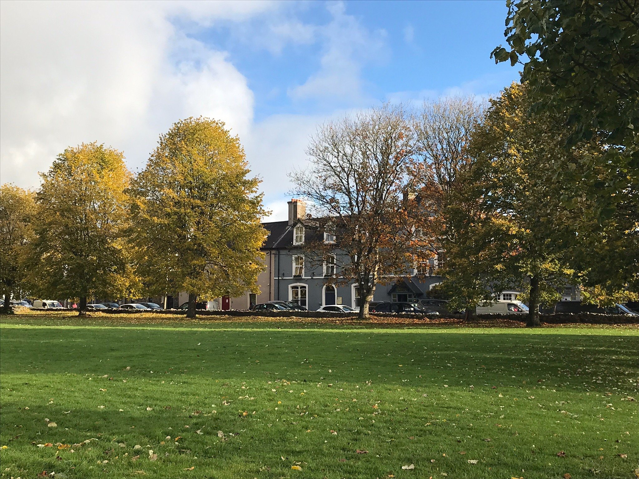 Blarney Castle Hotel-官方