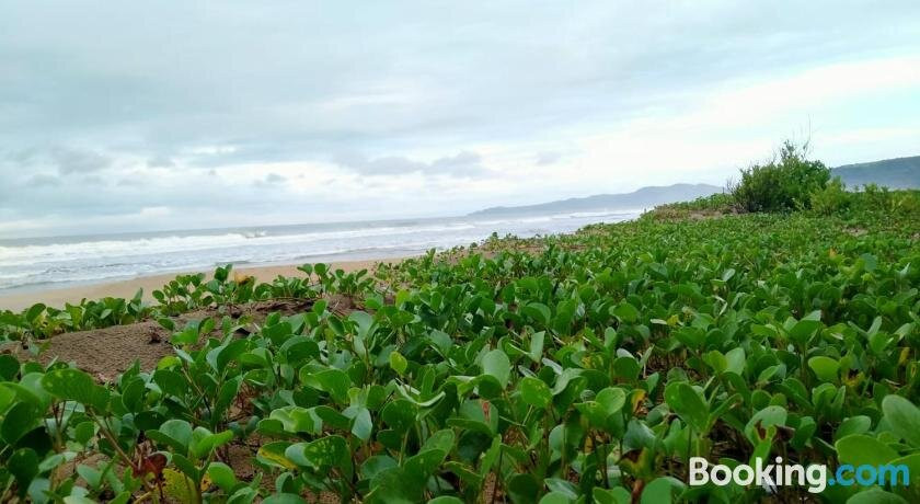 Uttara Kannada District酒店住宿-Ale Beach Huts