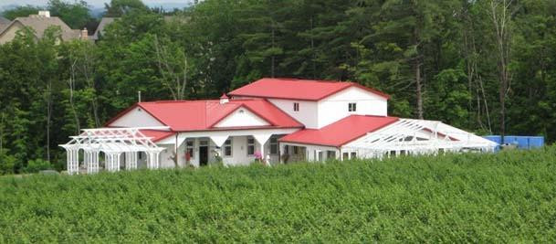 Kacaba Vineyards Winery景点图片