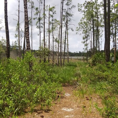 Lake Proctor Wilderness Area-Geneva必去景点