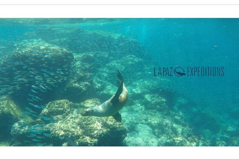 Harker Board Co.-拉巴斯必去景点