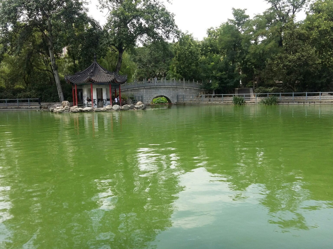 莲湖公园景点图片