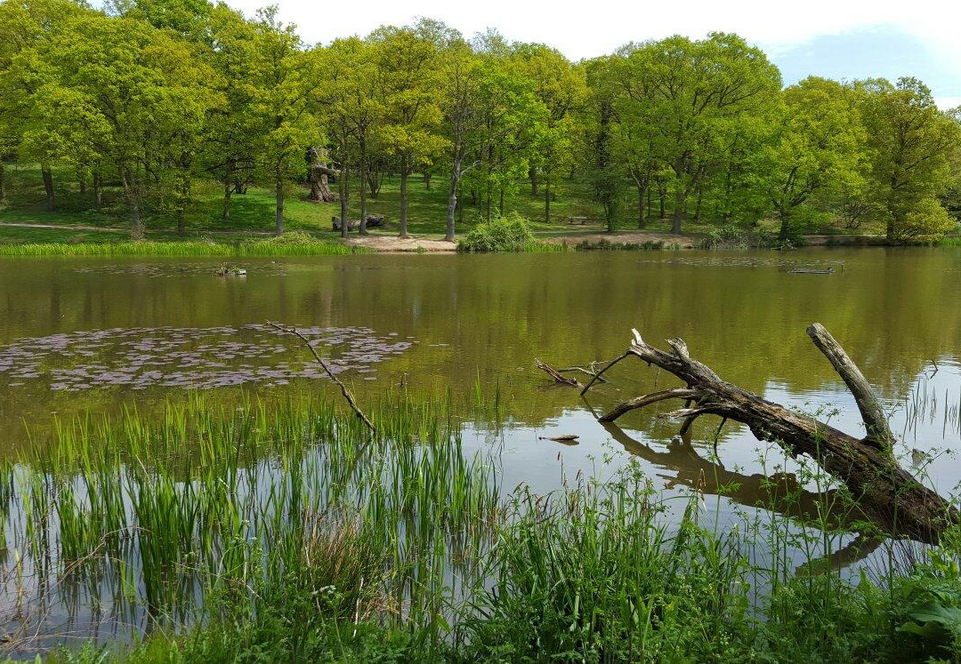 Weald Country Park景点图片