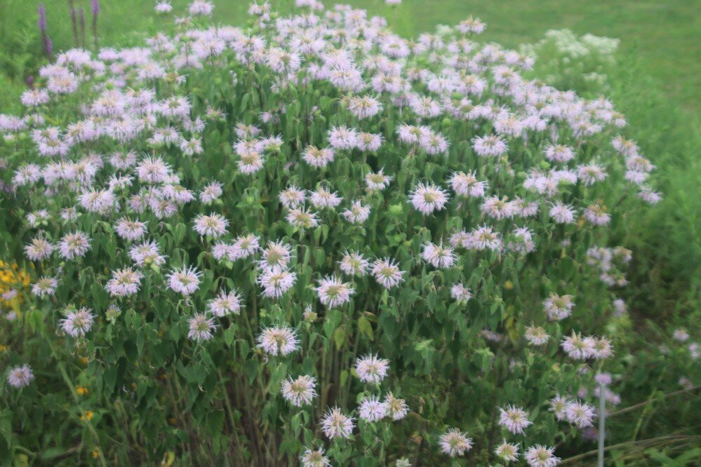 Wainfleets Memorial Community Park