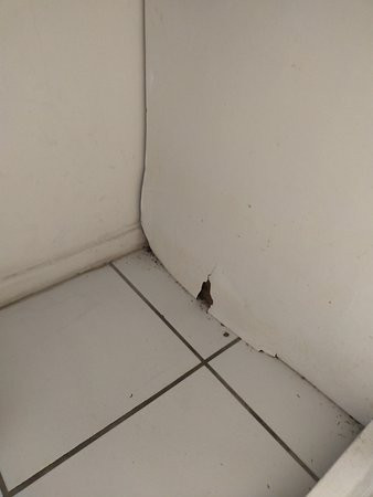 Les Residences Yucca主图