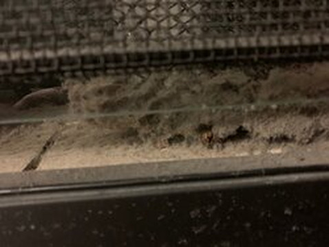 Residence Inn by Marriott Huntsville主图