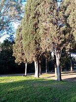 Parco degli Scipioni景点图片