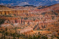 Rim Trail-布莱斯峡谷国家公园必去景点