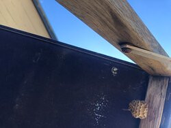 Pakiri Beach Horse Rides - Day Tours-韦尔斯福德必去景点