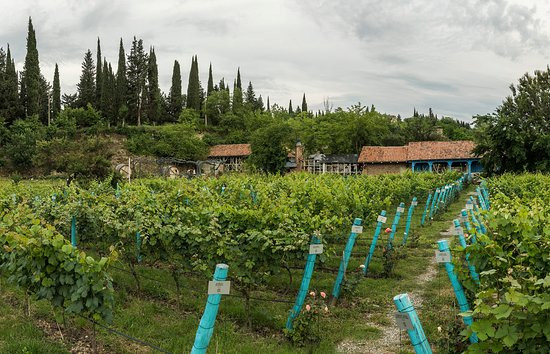 Shumi Winery-Tsinandali必去景点