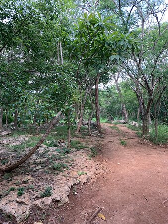 Cenote Noh-Mozon-Tecoh必去景点