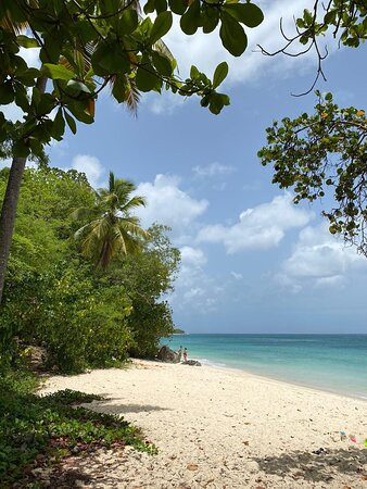 Village de Menard主图