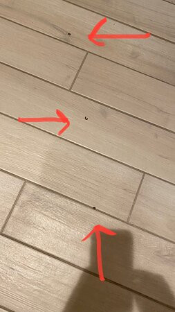 Best Western Plus Elizabethtown Inn & Suites主图