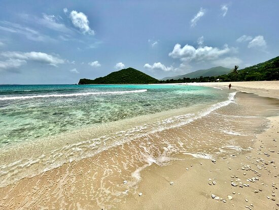 Dolphin Water Taxi-圣 托马斯必去景点