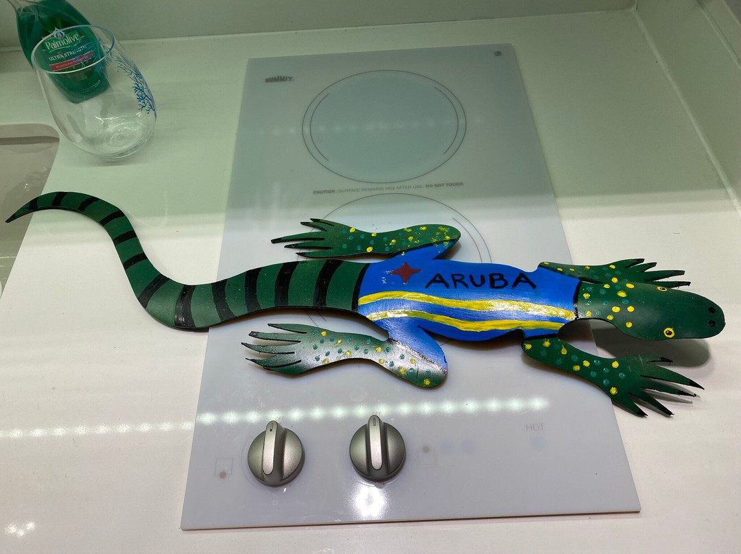 Aruflamingo Art-San Nicolas必去景点