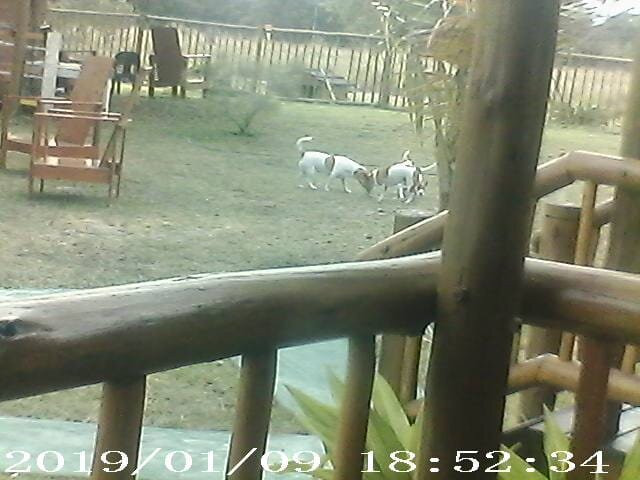 Inhaca Kanimambo Lodge
