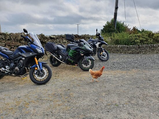 High Keenley Fell Farm-官方