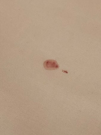 Kostis Villas Askeli Poros主图