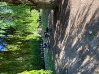 Logis Hotel El Moli de Siurana主图