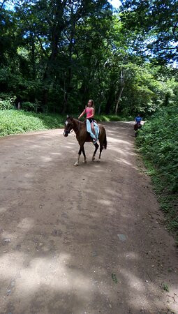 Horses Hiking Conchal Beach景点图片