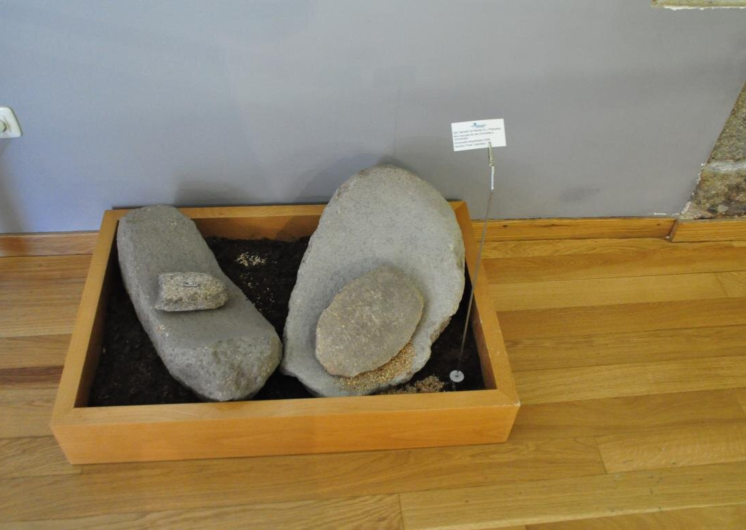 Museu Eduardo Tavares-Sao Joao da Pesqueira必去景点