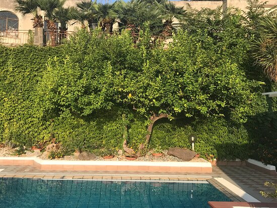 Hotel Villa D'Orta主图